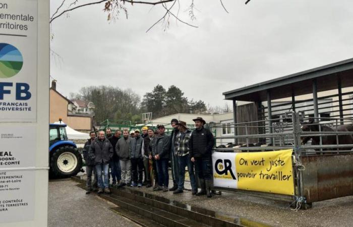 Landwirte bringen ihre Tiere zur Gebietsverwaltung des Departements