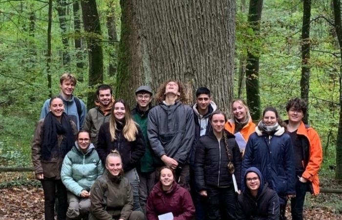 Um nach Guyana zu reisen, bieten diese Studenten in der Sarthe einen Verkauf von Weihnachtssüßigkeiten an