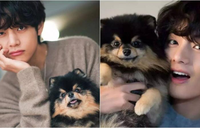 BTS V schreibt einen herzzerreißenden Instagram-Beitrag, in dem er um den Tod seines Hundes trauert – „ARMY Loved Yeontan“