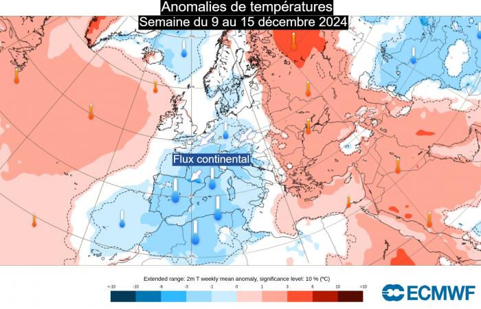 Rückkehr der Kälte am Ende der Woche in Frankreich? 12.02.2024