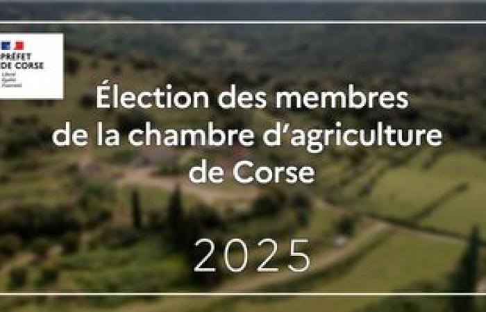 Wahlen der Mitglieder der korsischen Landwirtschaftskammer – Wahlen – Demokratisches Leben – Staatsaktionen