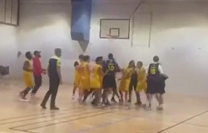 Basketball: „Gorilla weint“ oder „bellt“, was passierte am Freitagabend während des Spiels Mende – Rodez III?