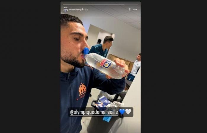 „OL ist Wasser“, erklärt Neal Maupay seine Niederlage gegen die Lyonnais