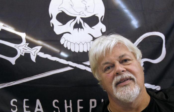 Walverteidiger Paul Watson bleibt bis zum 18. Dezember im Gefängnis