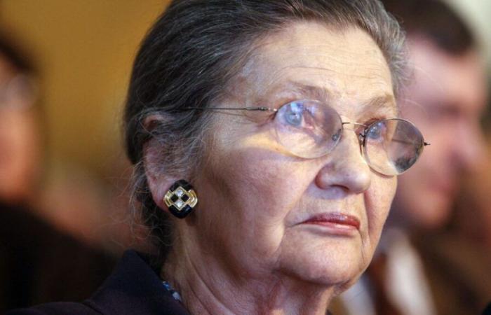 Paris: Ein Werk mit dem Gesicht von Simone Veil verfiel vor dem Shoah-Denkmal