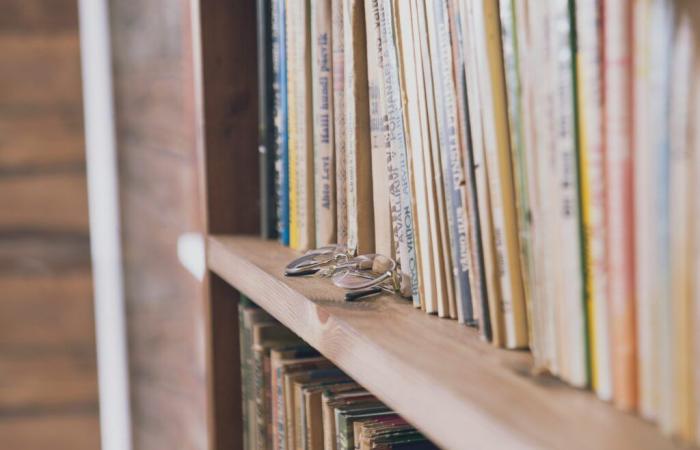 100 % Bücher: Favoriten aus der Librairie Le Neuf in Saint-dié-des-Vosges