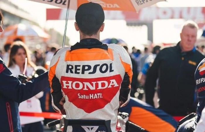 MotoGP, Luca Marini: „Wir haben einen neuen Honda-Prototyp getestet, er ist nicht einmal schneller als das vorherige Motorrad und die Schwächen bleiben dieselben“