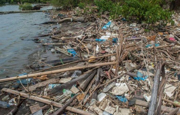 Die Plastikverschmutzung hat eine glänzende Zukunft vor sich …