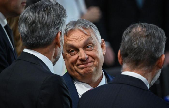 Laut Quellen von RFE/RL hat Trump Ungarns Orban zum Krieg in der Ukraine konsultiert