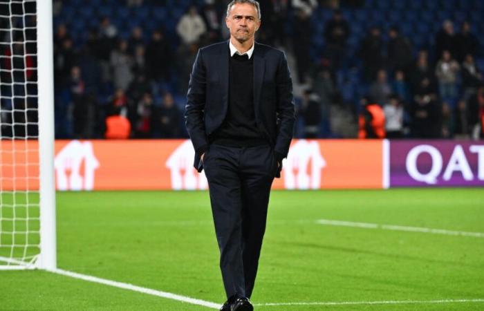 Mercato – PSG: Luis Enrique hat seine nächsten Rekruten ausgewählt!