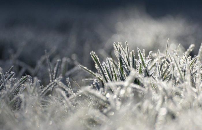 KARTE. Auf dem Weg zu minimalen negativen Nachrichten in Aveyron? Was Météo France am Mittwochmorgen vorhersagt