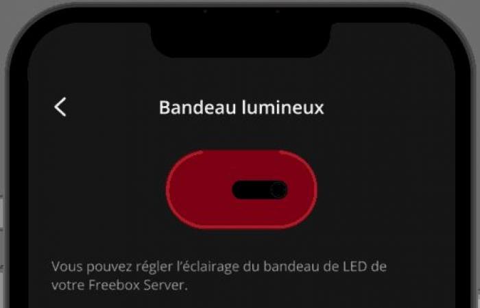 Free stellt eine rote und transparente Freebox Ultra vor: Wie bekommt man sie?