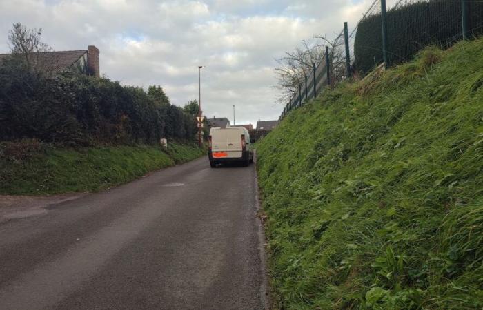 In Eslettes nutzen täglich fast 900 Fahrzeuge die kleine Rue des Jonquilles, die Anwohner können es nicht mehr ertragen