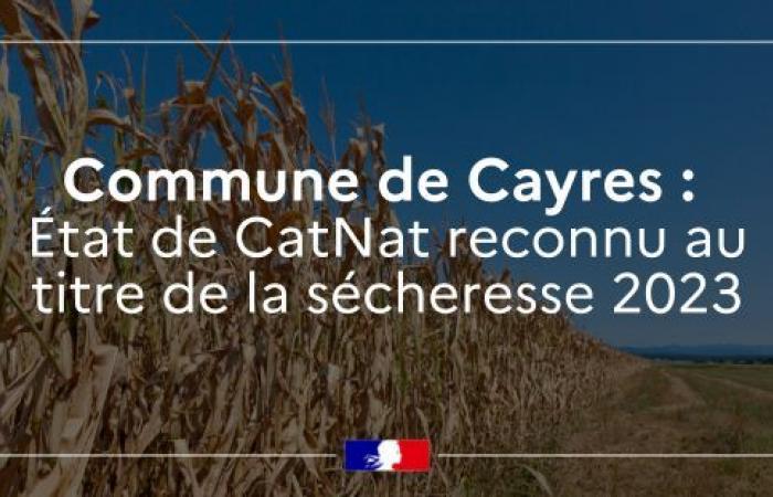 Die Gemeinde Cayres wurde als Naturkatastrophenzustand eingestuft – Dezember 2024 – Nachrichten 2024 – Nachrichten