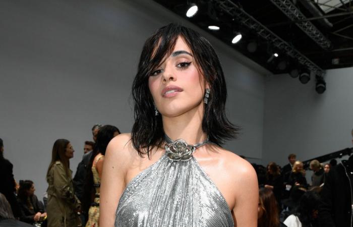 Camila Cabello gibt zu, dass die Musikindustrie sie abgehärtet hat: „Ich habe mir eine Hülle gebaut“