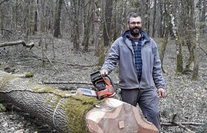 Von der Gironde bis nach Paris wurde eine seiner Eichen beim Wiederaufbau von Notre-Dame verwendet