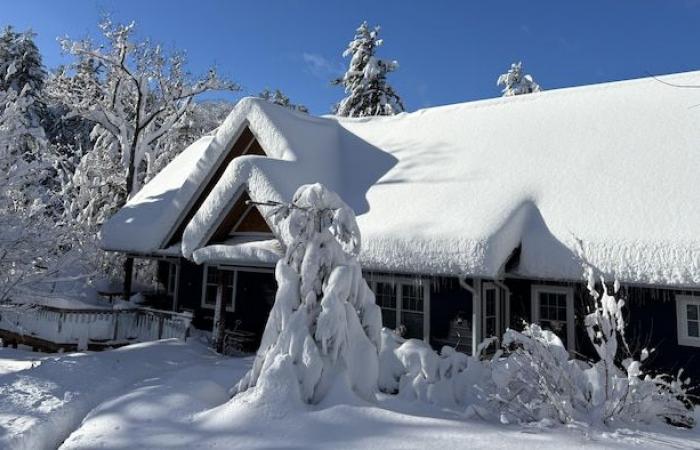 Tausende Haushalte in Ontario sind nach dem Sturm am Wochenende immer noch ohne Strom