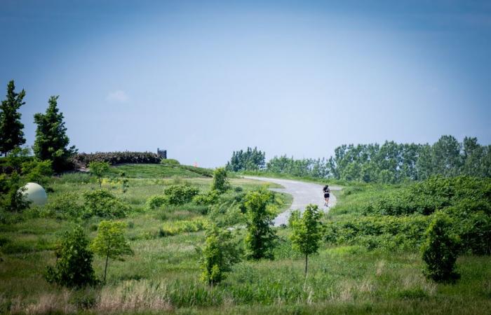 Montreal de profundis | Die Presse