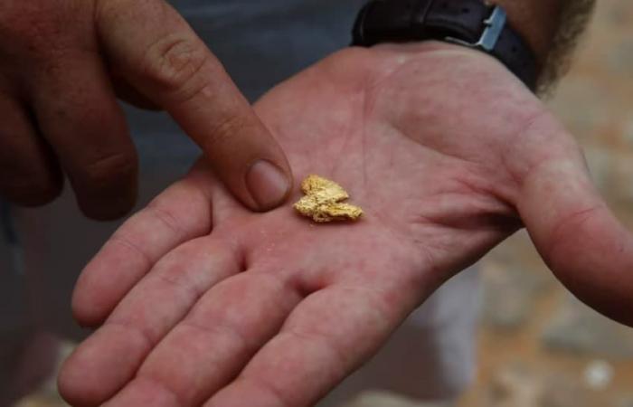 Alaska First Nations gegen die Goldmine von BC