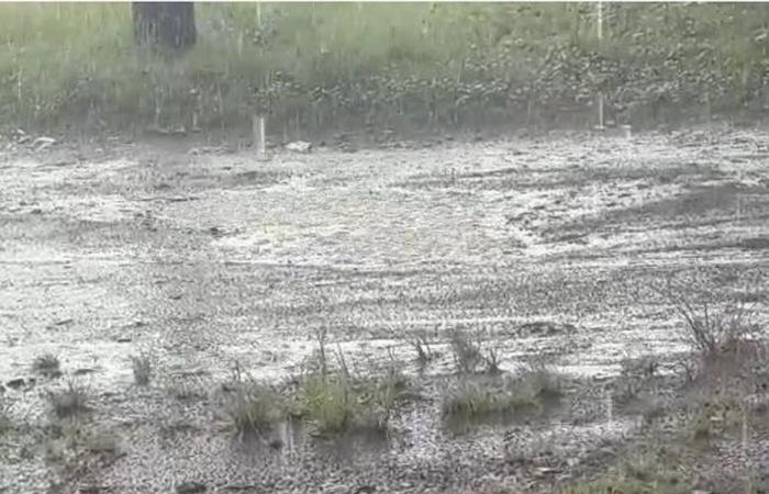 Guadeloupe hält den Weltrekord für Regen in einer Minute