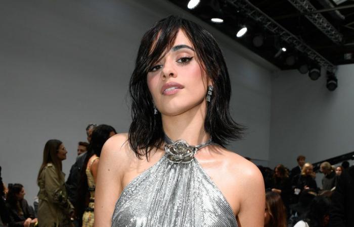 Camila Cabello gibt zu, dass die Musikindustrie sie abgehärtet hat: „Ich habe mir eine Hülle gebaut“