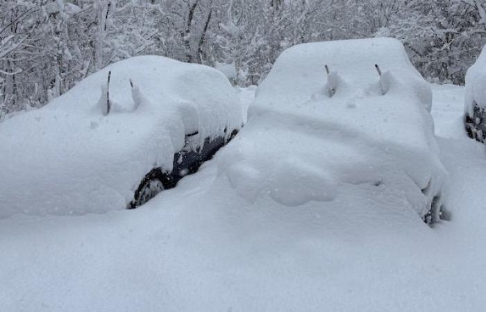 Tausende Haushalte in Ontario sind nach dem Sturm am Wochenende immer noch ohne Strom