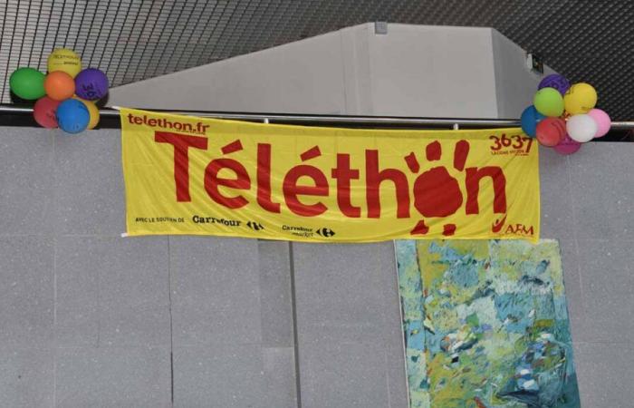 Val-d’Oise: Der Telethon bringt 371.798 Euro für die Genforschung ein