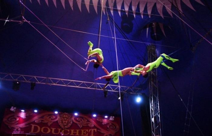 Der Weihnachtszirkus, vergünstigte Transportmöglichkeiten und tolle Action von den Volleyballspielern am Mittwoch, den 3. Dezember