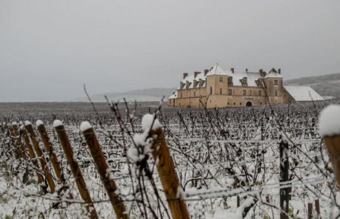 Wetterbericht. Angekündigte Rückkehr von Schnee und Kälte in Côte-d’Or: Was wir wissen