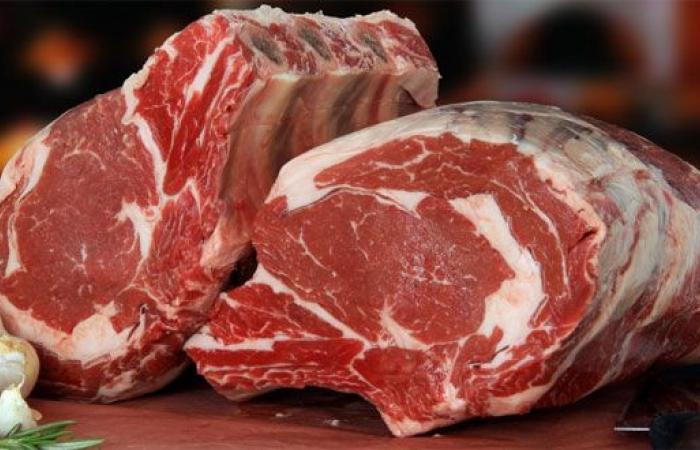 Importiertes Tiefkühlfleisch: Die Auswirkungen auf die Preise bleiben begrenzt – Consonews