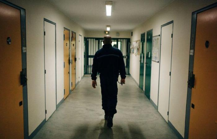 Nîmes: Ein 15-jähriger Minderjähriger wegen des Brandes in der Nähe der Polizeistation Pissevin verurteilt