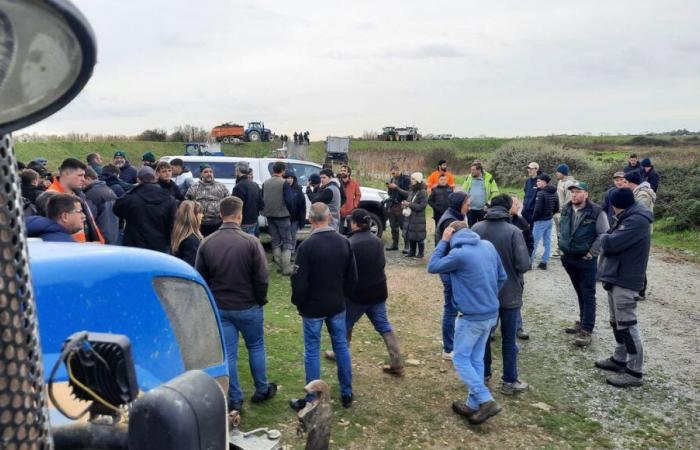 In der Charente-Maritime sind die Landwirte von der wahrscheinlichen staatlichen Zensur fassungslos