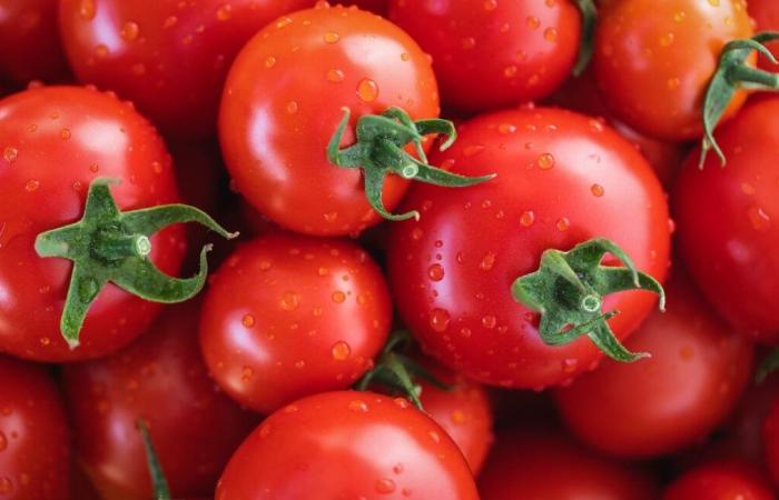 Als „italienisch“ dargestellte Tomatensoßen stammen angeblich aus der Zwangsarbeit von Uiguren in China