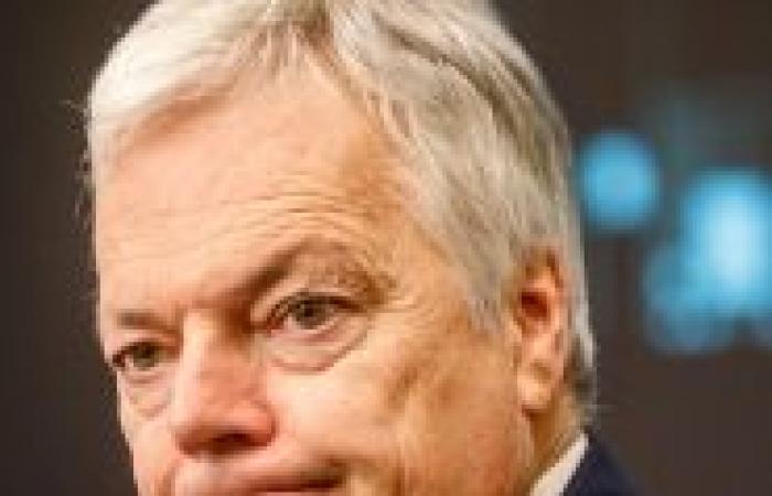 Didier-Reynders-Affäre: „Im liberalen Lager ist das völlige Verwunderung“