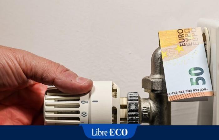 Die Energieverteilung wird in Wallonien teurer