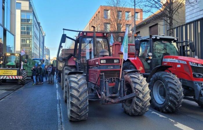 Zensur: Landwirte in Hauts-de-France sind müde und besorgt über eine erneute Rückkehr auf den ersten Platz