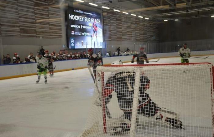 Eishockey: Ein französisches Zweitligaspiel in Dreux: „Es ist ein wacher Traum!“