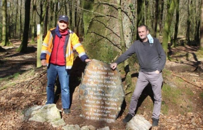 ein mysteriöses Spiel mit 75.000 Schulkindern im Wald