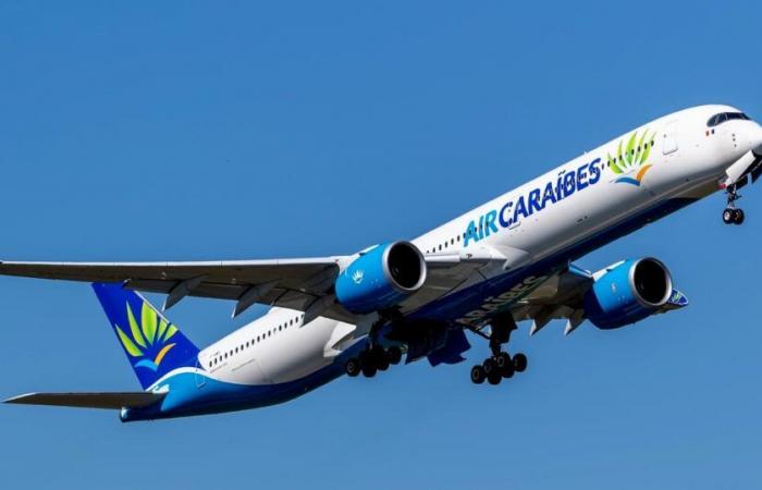 Die Wettbewerbsbehörde verhängt Sanktionen in Höhe von 14,5 Millionen Euro gegen Air Caraibes und Air Antilles