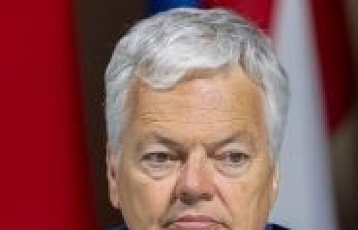 Didier-Reynders-Affäre: „Im liberalen Lager ist das völlige Verwunderung“