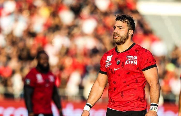 Champions Cup – Facundo Isa (Toulon): „Wir fahren nicht in den Urlaub nach Südafrika“