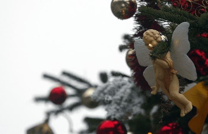 Eine 2,50 m hohe Tanne wurde mitten auf der Straße in Maurois gestohlen. Der Bürgermeister fordert den Täter auf, den Baum zurückzugeben