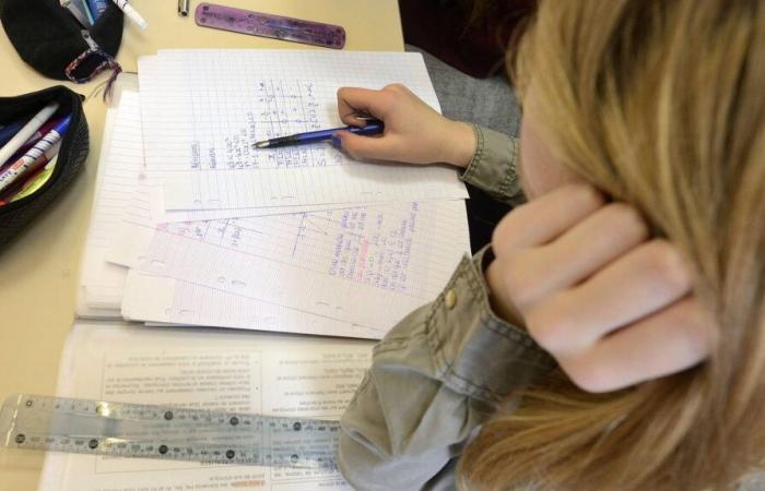 Laut einer internationalen Studie liegt das Niveau französischer Studierender in Mathematik und Naturwissenschaften unter dem OECD-Durchschnitt, sinkt aber weiter