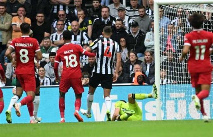 Spieltermine und Übertragungskanäle von Liverpool und Newcastle United in der englischen Premier League