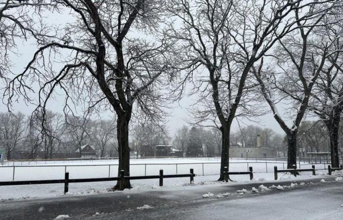 Hat Binghamton eine Chance auf den Goldenen Schneeball? Hier ist der Ausblick auf das Winterwetter