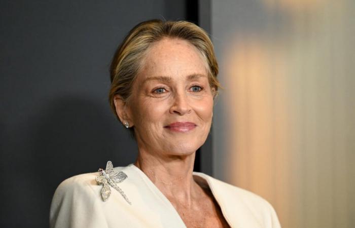 Sharon Stone prangert Sexismus an, den sie während ihrer Karriere durch „Männer mit geringerer Intelligenz“ erlitten hat