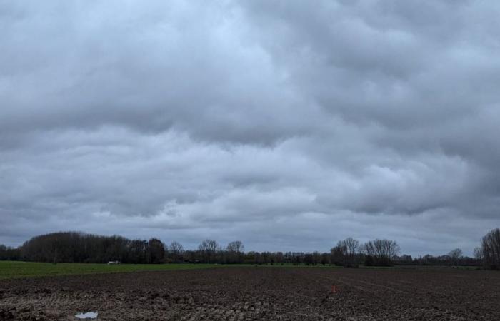 Wetterbericht. Wie ist das Wetter für diesen Mittwoch, den 4. Dezember in Hauts-de-France?