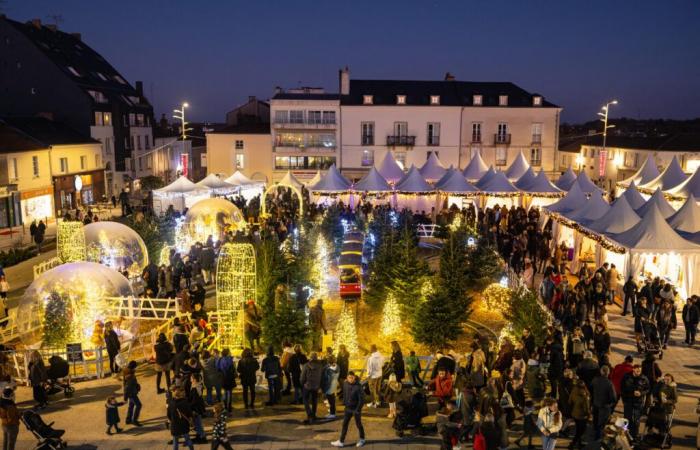 Die Weihnachtsfeierlichkeiten dieser Woche in La Roche-sur-Yon und Umgebung