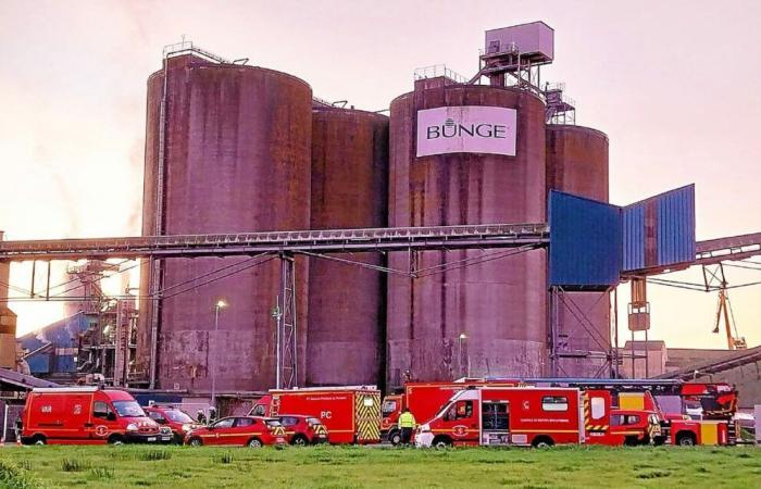 In Brest bricht im Handelshafen des Sojariesen Bunge ein Brand aus [Vidéo]