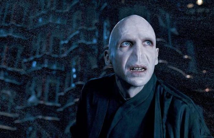 Der Voldemort-Darsteller hat eine ganz konkrete Idee für seinen Ersatz in der Max-Reihe